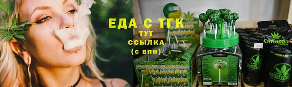 гидра Гусь-Хрустальный