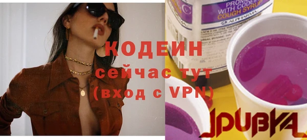 гидра Гусь-Хрустальный