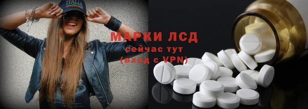 спиды Гусев