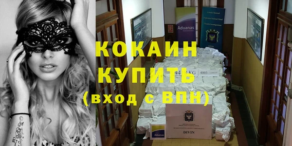 спиды Гусев