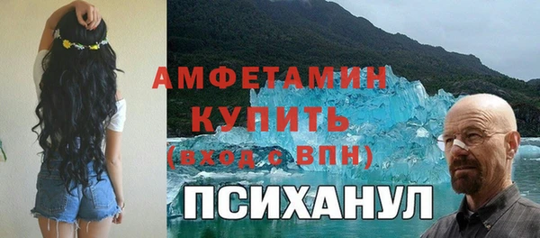 гидра Гусь-Хрустальный