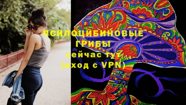 гидра Гусь-Хрустальный