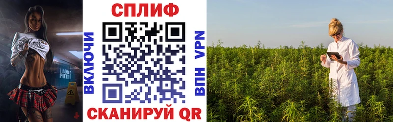 Марихуана VHQ  Купить закладки  Канаш 